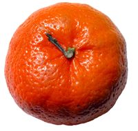 Tangarine